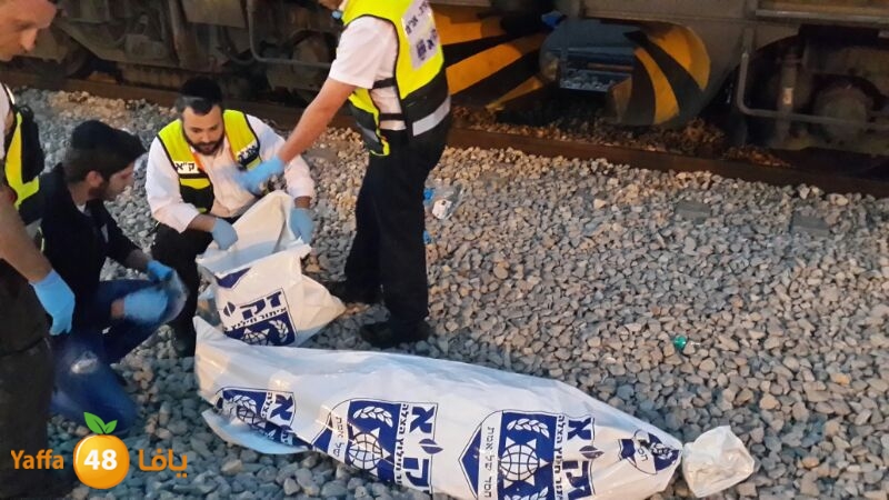 dahs train 1229ui (1).jpg